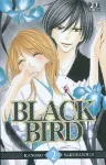 Black bird