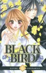 Black bird