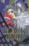 Black bird