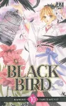 Black bird