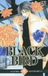Black bird