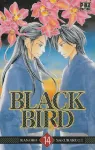 Black bird