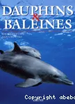 Dauphins et baleines